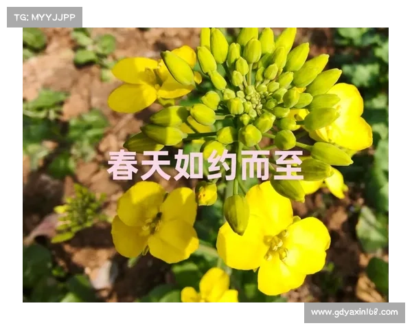 「嘉兴打卡·我“嘉”之春」“梅”你不行!一起拥抱扑面而来的“春暖花开” 「嘉兴打卡·我“嘉”之春」“梅”你不行!一起拥抱扑面而来的“春暖花开”