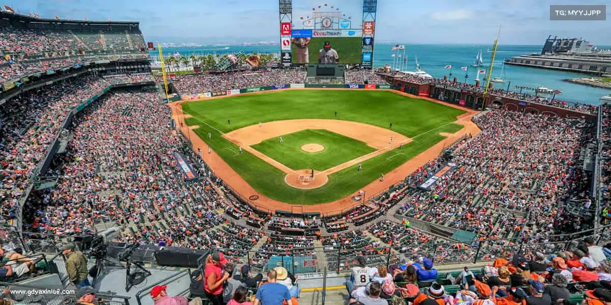 加拿大预测——🏥科学健身,健康不打折!🏋️♀️